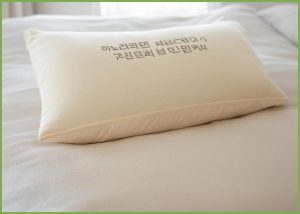 아노리빙 구름 냉감 바디필로...